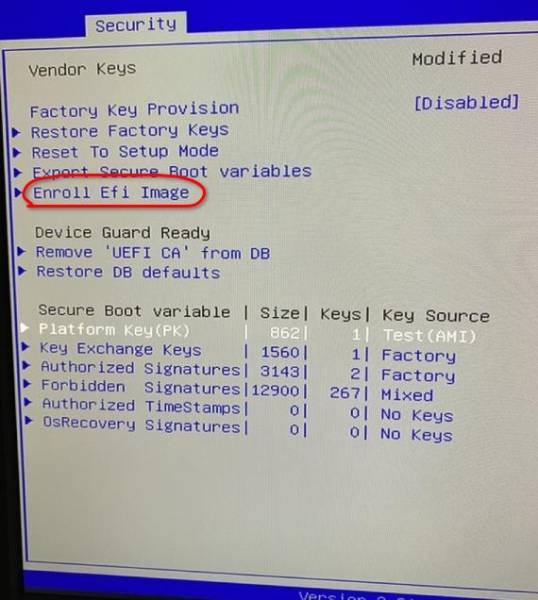 bios_security_efi_keys_options.jpeg