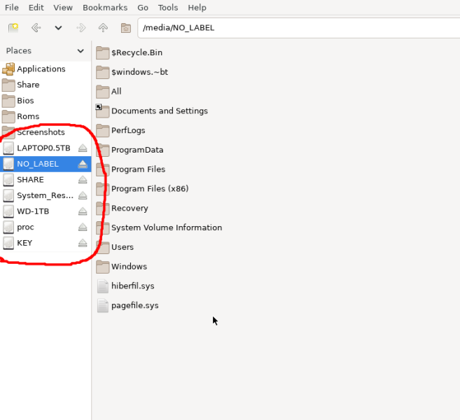 file_manager_mounted_storage.png