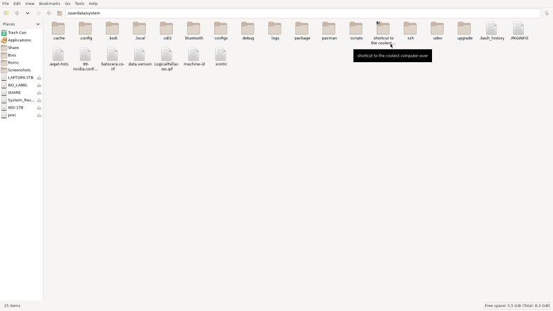 file_manager_renamed_symlink.png