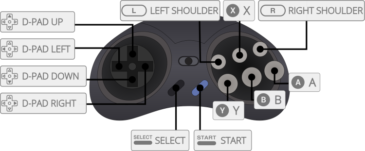 6 button