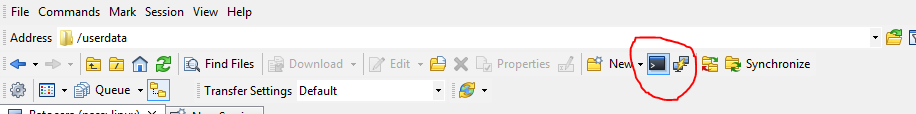 The console button, a black square with a greater than symbol in it.